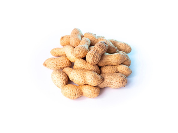 16d482f1dc9bb909d95684cbf24bb44484b7e56f4c2a6de97fb1f3d2061740ac_1