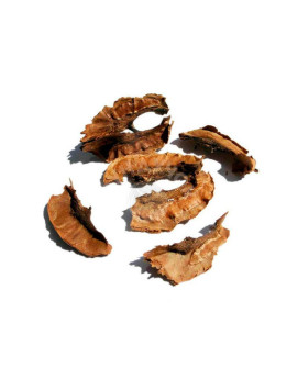 Перегородка грецкого ореха 1 кг.