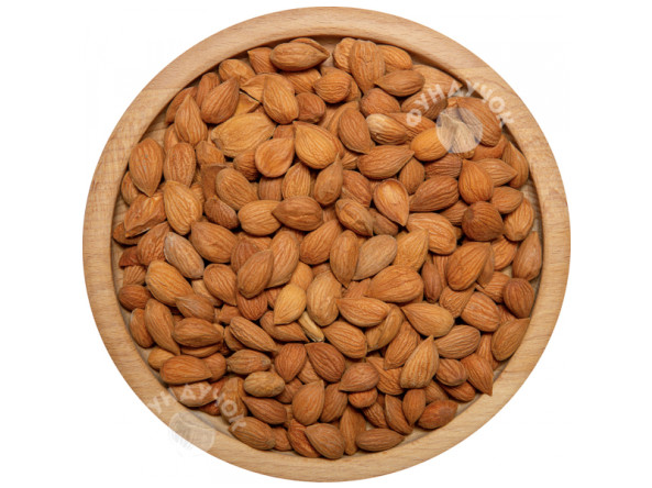 1badf6d0aff771a7eba8cffe0e42178027862fbbd8390e467f04416edc6dd61f_2