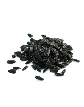 Семечки подсолнечника сырые (мелкие)