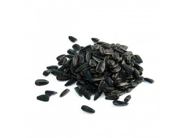 11e18dadc772accb8d0721056375139776b8ab68514027cfa9eebdfd38c663a0_1